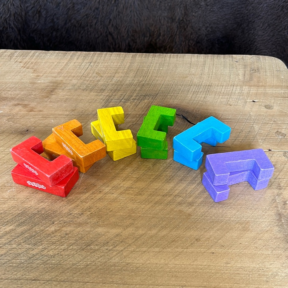 Begin Again Wooden Puzzle Blocks